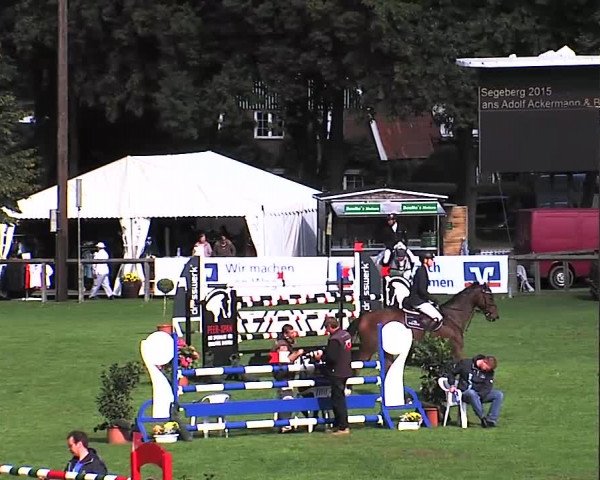 Reitturnier Bad Segeberg 2015
