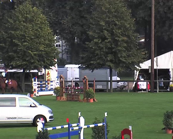 Reitturnier Bad Segeberg 2015