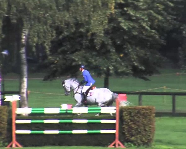 Reitturnier Bad Segeberg 2015
