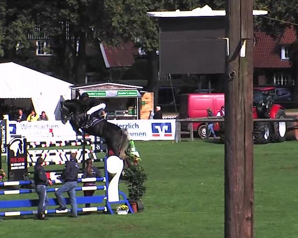 Reitturnier Bad Segeberg 2015