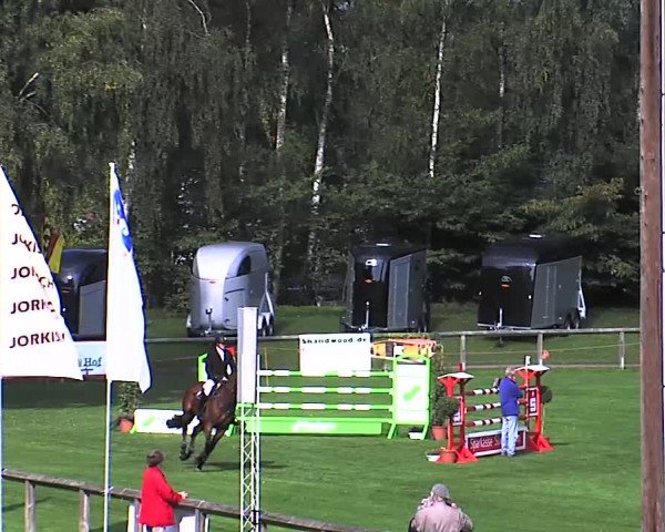 Reitturnier Bad Segeberg 2015