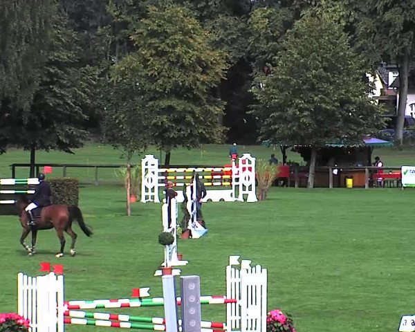 Reitturnier Bad Segeberg 2015