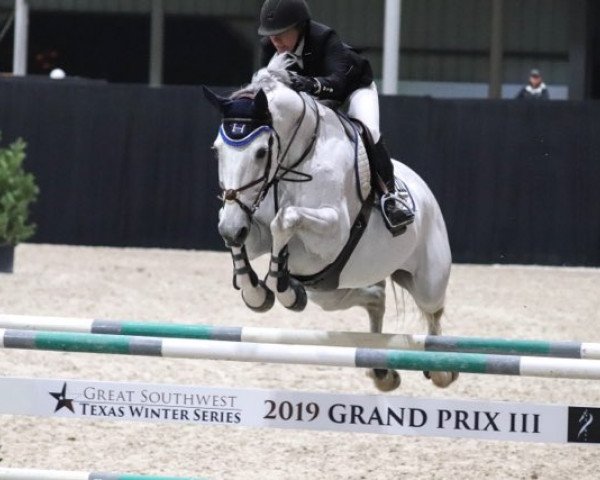 Springpferd Coulonces Z (Zangersheide Reitpferd, 2008, von Calvados)