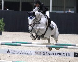 jumper Coulonces Z (Zangersheide riding horse, 2008, from Calvados)