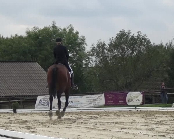 Reitturnier Lohmar-Hausdorp 2015