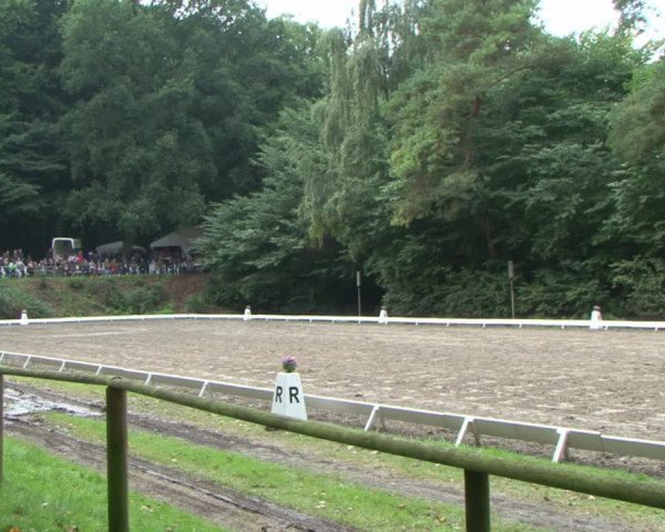 Reitturnier Bad Segeberg 2015