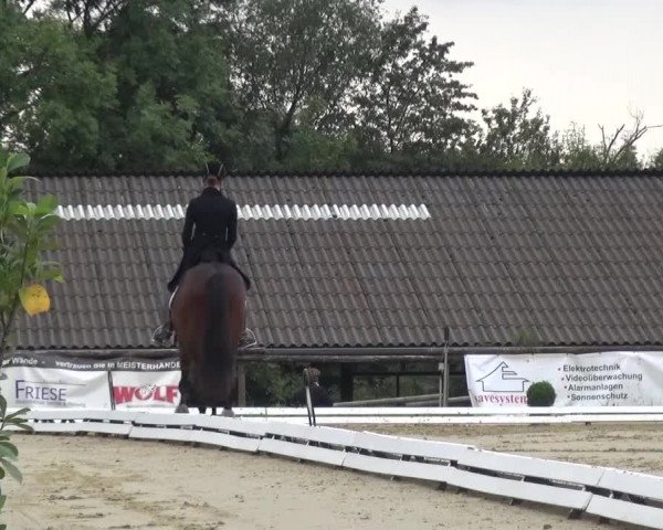 Reitturnier Lohmar-Hausdorp 2015