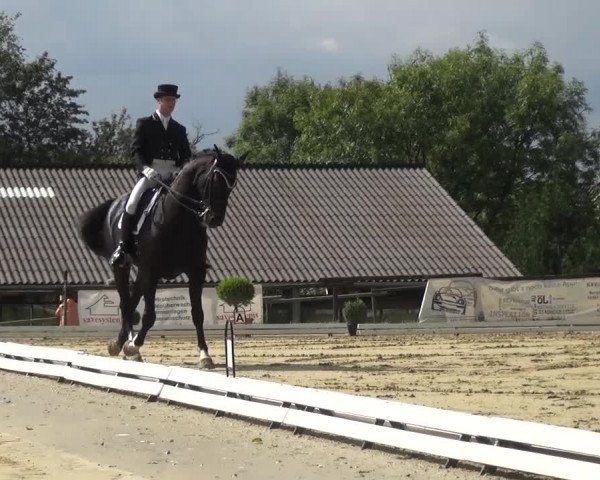 Reitturnier Lohmar-Hausdorp 2015