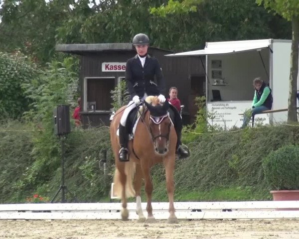 Reitturnier Lohmar-Hausdorp 2015