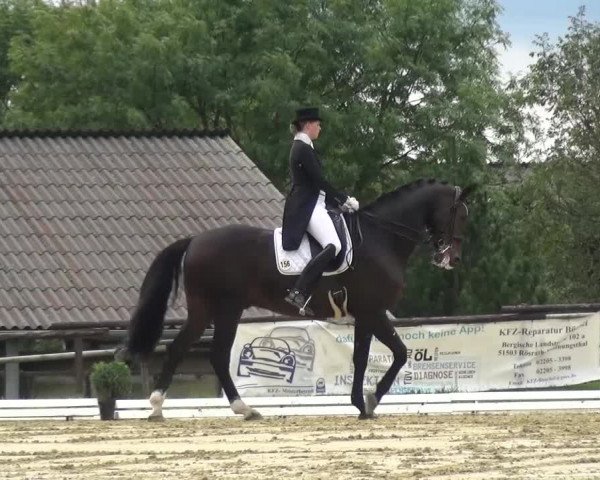 Reitturnier Lohmar-Hausdorp 2015
