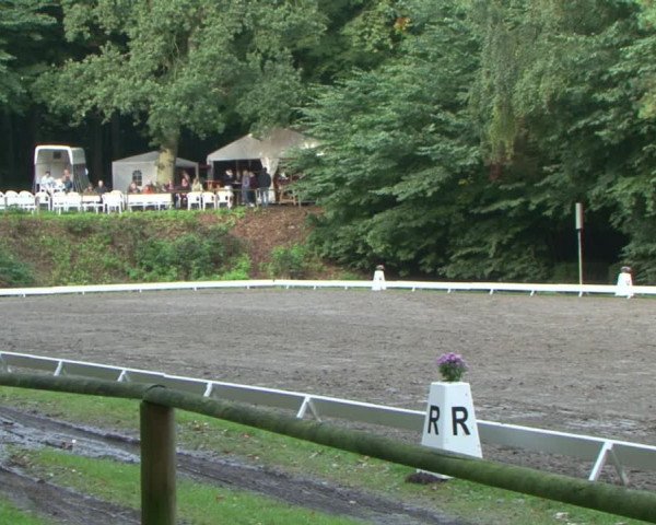 Reitturnier Bad Segeberg 2015