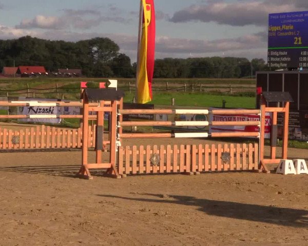 Reit- und Springturnier Lüdinghausen Westrup 2015
