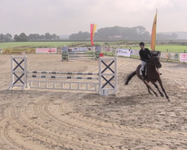 Reit- und Springturnier Lüdinghausen Westrup 2015