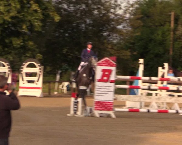Reit- und Springturnier Lüdinghausen Westrup 2015