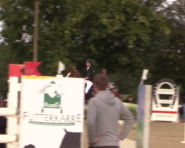 Reit- und Springturnier Lüdinghausen Westrup 2015