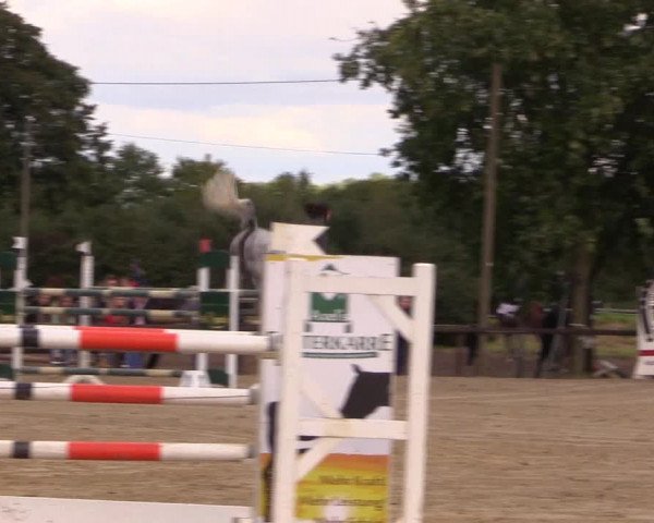 Reit- und Springturnier Lüdinghausen Westrup 2015
