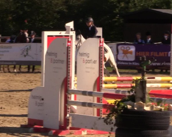 Reit- und Springturnier Lüdinghausen Westrup 2015
