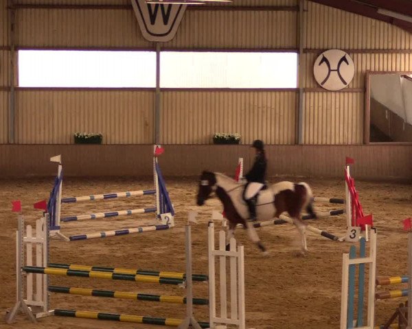 Reit- und Springturnier Lüdinghausen Westrup 2015