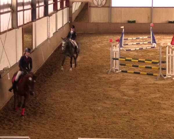 Reit- und Springturnier Lüdinghausen Westrup 2015
