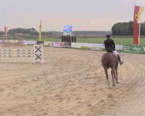 Reit- und Springturnier Lüdinghausen Westrup 2015