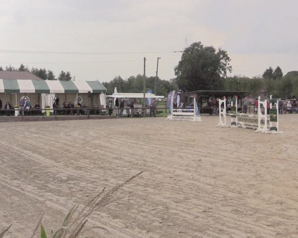 Reit- und Springturnier Lüdinghausen Westrup 2015