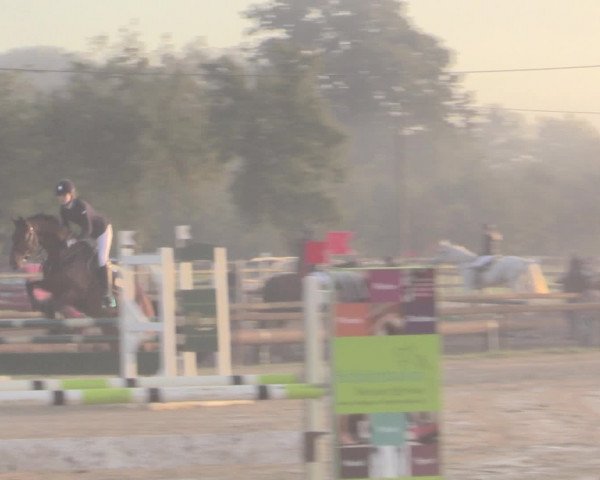 Reit- und Springturnier Lüdinghausen Westrup 2015