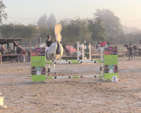 Reit- und Springturnier Lüdinghausen Westrup 2015