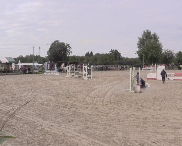 Reit- und Springturnier Lüdinghausen Westrup 2015