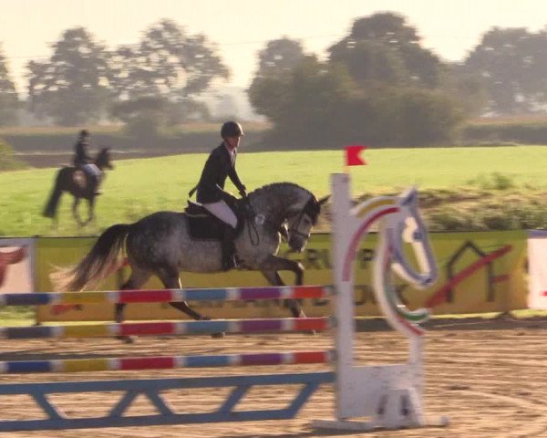 Reit- und Springturnier Lüdinghausen Westrup 2015