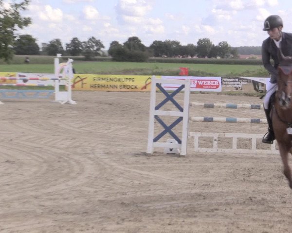 Reit- und Springturnier Lüdinghausen Westrup 2015