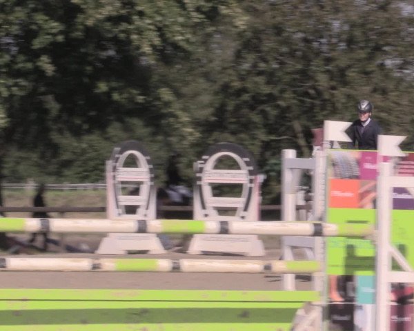 Reit- und Springturnier Lüdinghausen Westrup 2015