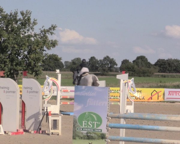 Reit- und Springturnier Lüdinghausen Westrup 2015