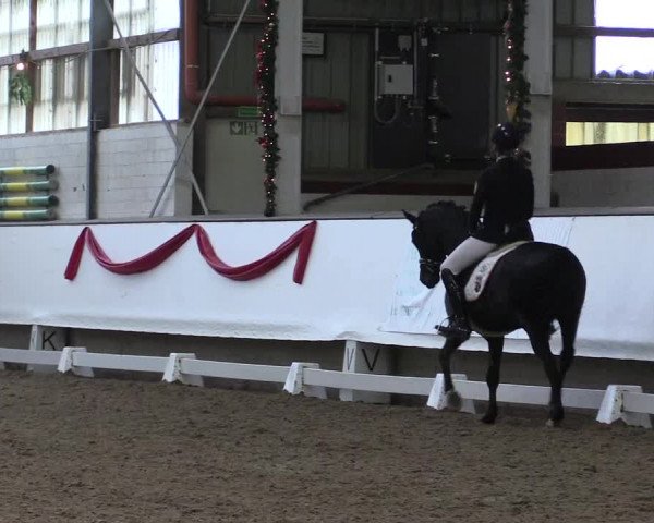Hallen Dressur-Late-Entry Marl, Hof Rohmann 2021