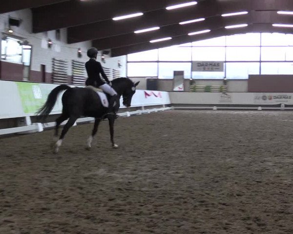 Hallen Dressur-Late-Entry Marl, Hof Rohmann 2021