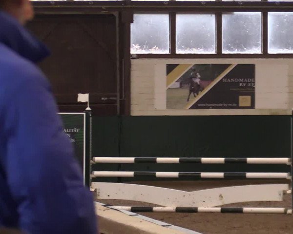 Springturnier Bielefeld-Jöllenbeck 2021