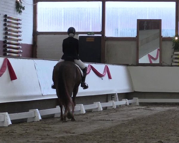 Hallen Dressur-Late-Entry Marl, Hof Rohmann 2021