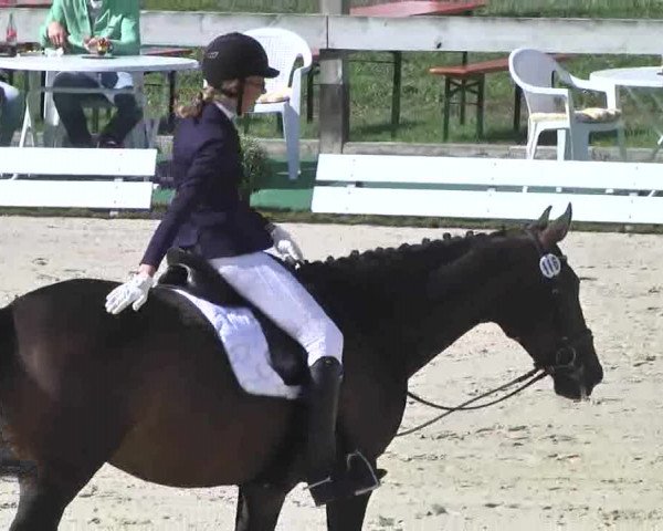 Reitturnier Linkenheim-Hochstetten 2015