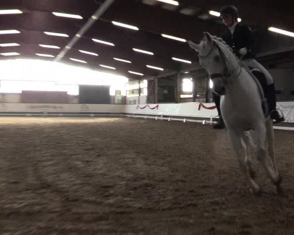 Hallen Dressur-Late-Entry Marl, Hof Rohmann 2021