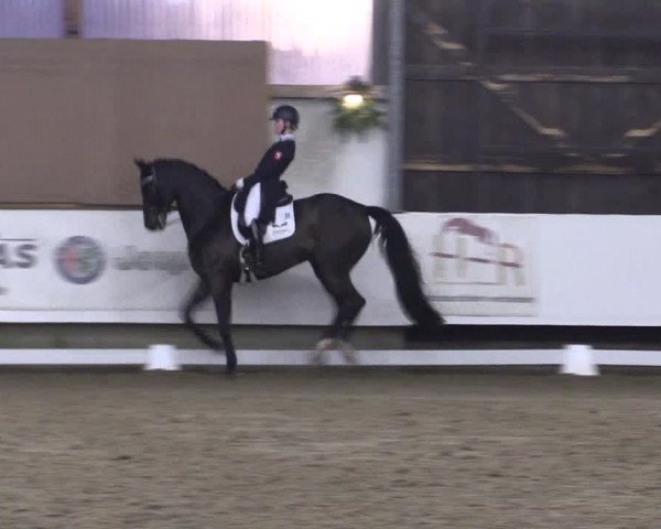 Hallen Dressur-Late-Entry Marl, Hof Rohmann 2021