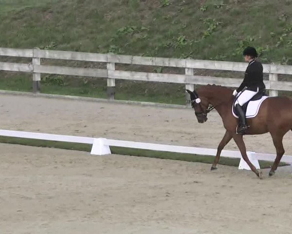 Reitturnier Linkenheim-Hochstetten 2015