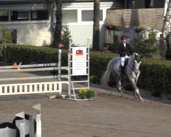 Großes Springturnier Siegen 2015