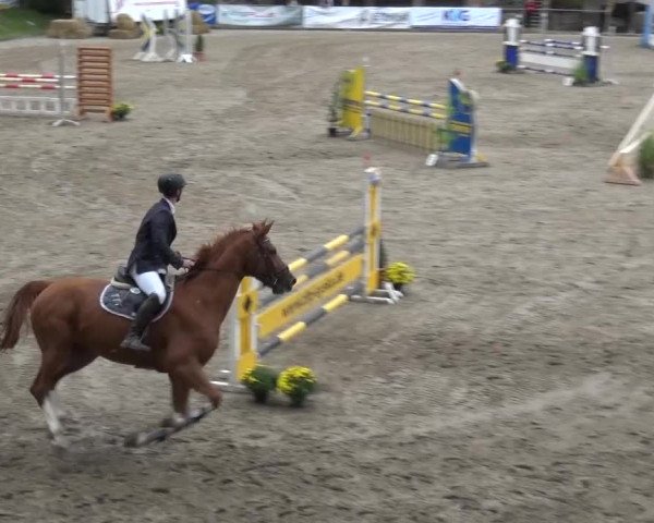 Großes Springturnier Siegen 2015