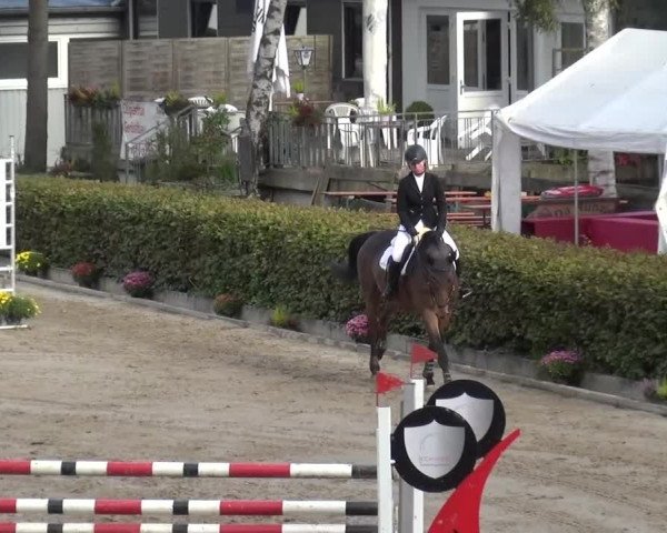 Großes Springturnier Siegen 2015