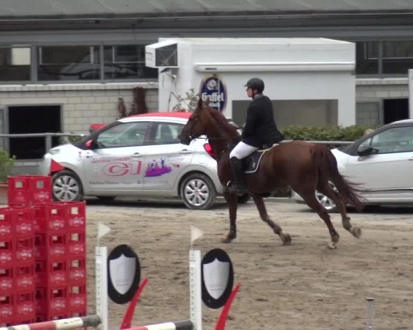 Großes Springturnier Siegen 2015