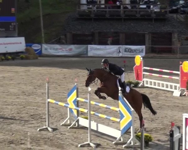 Großes Springturnier Siegen 2015