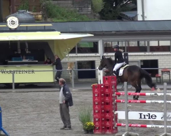 Großes Springturnier Siegen 2015