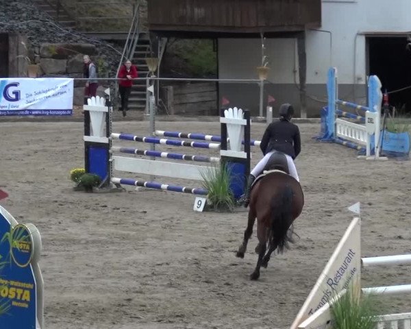 Großes Springturnier Siegen 2015