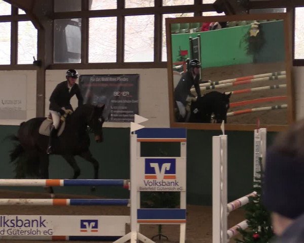 Springturnier Bielefeld-Jöllenbeck 2021
