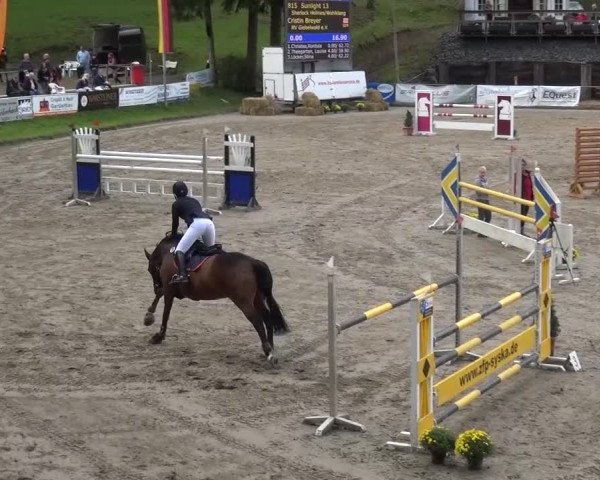 Großes Springturnier Siegen 2015