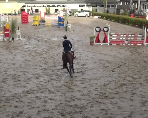 Großes Springturnier Siegen 2015